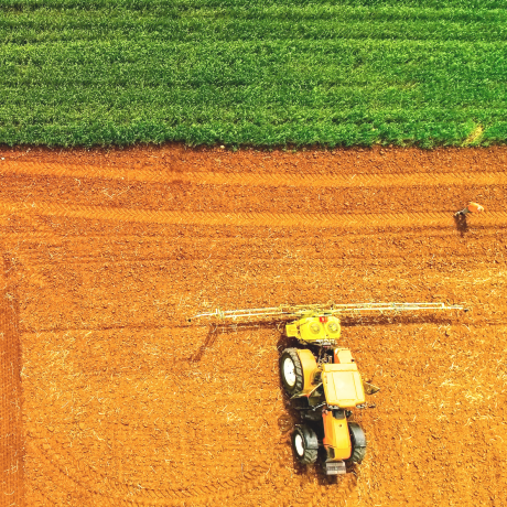 Перевод сельскохозяйственных земель в другие категории станет сложнее