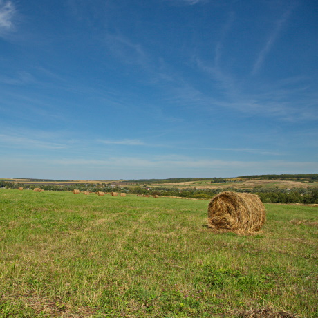 ���������� ������� ��� ����� � ������ �������� ����� �������� ����� 10 ��� �����