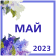     2023 