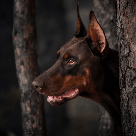 ����� ������� ����� ����� ���������� �� 16 ��� ����� ���������