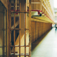 Члены СПЧ предлагают расширить сферу действия института помилования