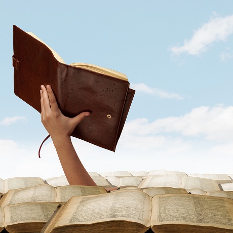 ������������ ����� ��������������� ������������ ��������� ������� ������������ ����������� � ���� ������� ������������ �����