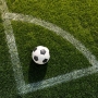 До 30 сентября в Госдуму будет внесен законопроект о проведении матчей чемпионата Европы по футболу 2020 года