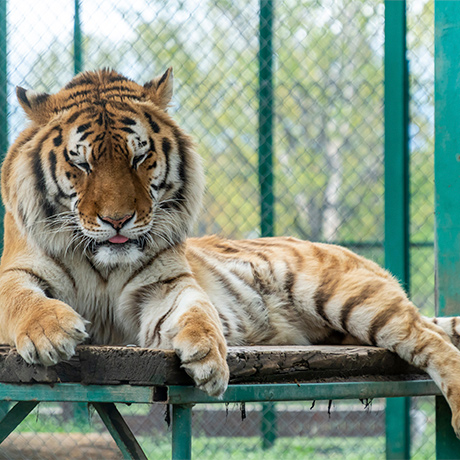 ������� ���������� �������� � ���������, ������ � ������������ ���������