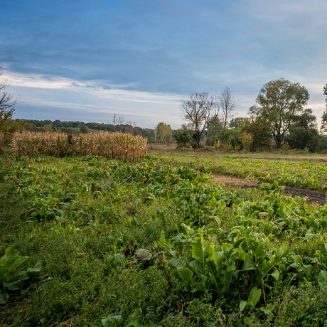 ������������� ������ ���������� ��������� ����� ���������� �� �������� ����� ����������� ����������� �� �������