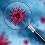 Роспотребнадзор: течение болезни при дельта-варианте коронавируса более тяжелое