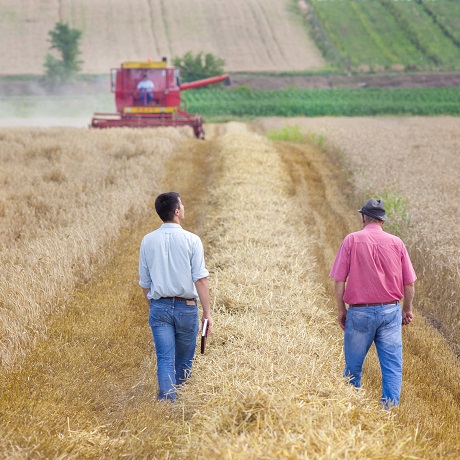 ��� ������ ���������� ������� ����� ����� ���