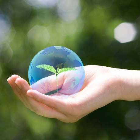 ������������� �� �������� ������� �������������� ��������