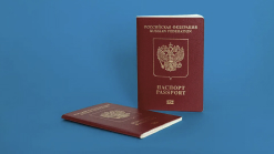 �������������