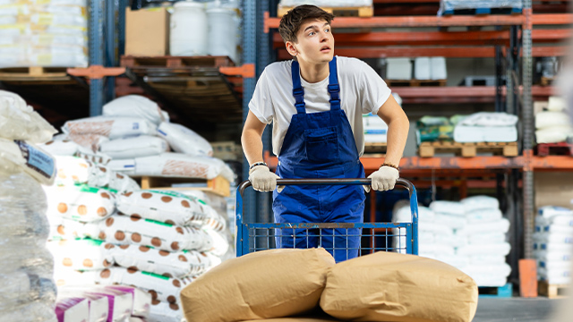 ��������� � �������� ����� ������� �������� �� ������ ������������ ����� ������