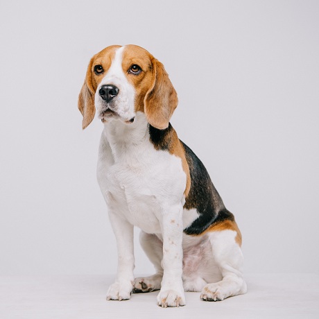 ����������� ���������� � ������������� �������� � ���������-��������� ����� � �� ����������