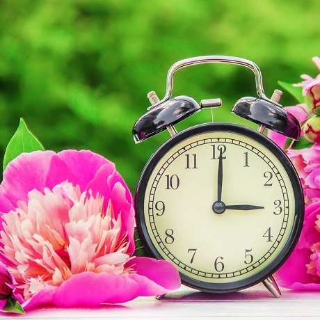 �������� ������� ������� ����� �������