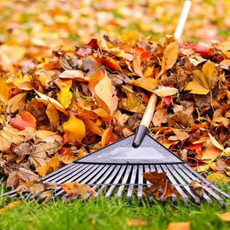 Растительные отходы, образующиеся в результате ухода за придомовыми газонами, относятся к ТКО