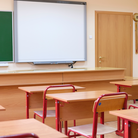 ����������� �� ������ ���� ��� ������� �� 2029 ���� � ��������� � 8 ��������