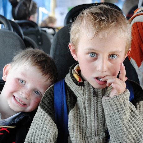 Эксперты рассказали, какие документы на водителя при организованной перевозке детей автобусом должен иметь работодатель
