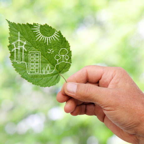 ��������� ����������� �� ���������������� �������� �� �������� ������������ �� ������������ � ������ �������������� ����������� ����������������