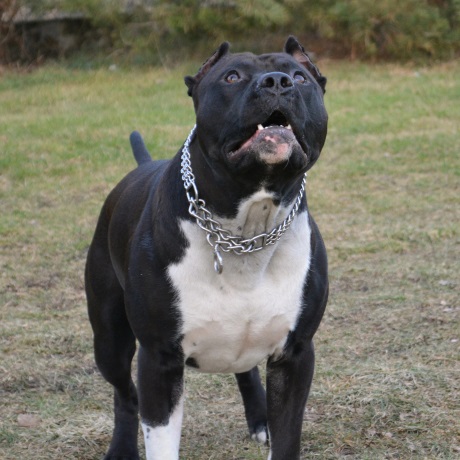 �� ����� ������� ����� ����� ��� ���������� � ������� � ������������ ������ ���������� ������ ������