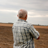 Финансирование программы развития сельских территорий может быть сокращено