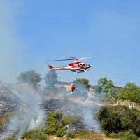 За невыполнение сводных планов тушения лесных пожаров предлагают установить административную ответственность