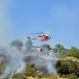 За невыполнение сводных планов тушения лесных пожаров предлагают установить административную ответственность