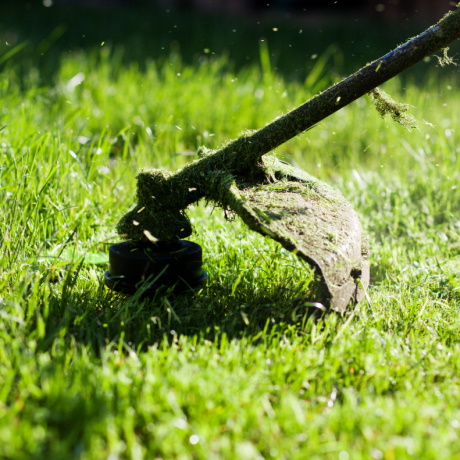 ������ ����� ����� ��� ���������� ���� ����������� ������������� ������� � 