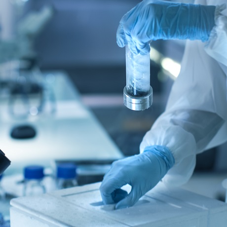  21         COVID-19   , ,    