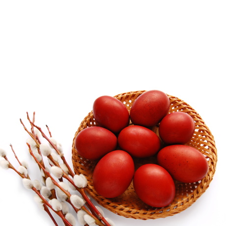 ���� ����� ����� ���������� ������� ��������