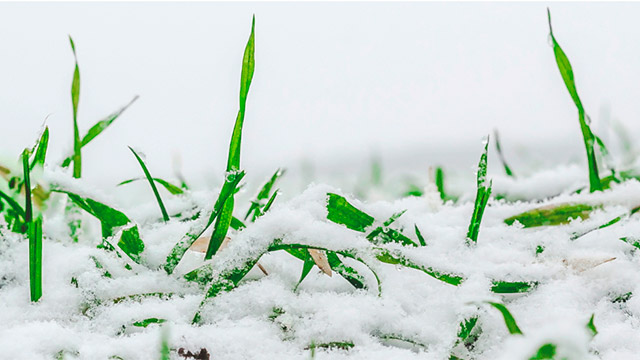 ������������� �� ��������� ��������� ������� �� ����������� �������