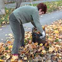 Регионы могут получить право на установление квоты для приема на работу осужденных к исправительным работам