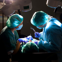 Преподавателям медицинских образовательных учреждений могут разрешить осуществлять медицинскую деятельность без ограничений