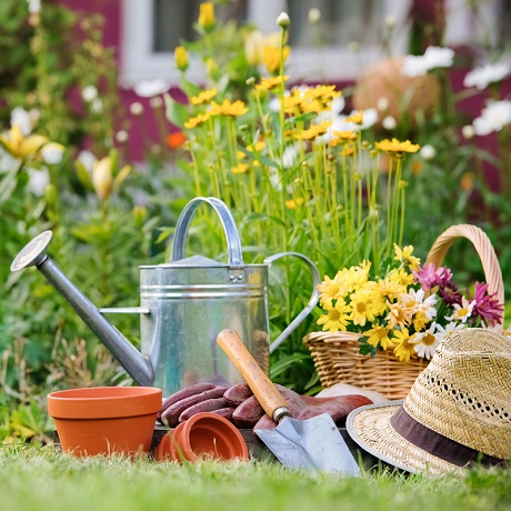 ����������������� ������ �������� ��������� ������ ������ � ������� ���������� ����������� � ��������������