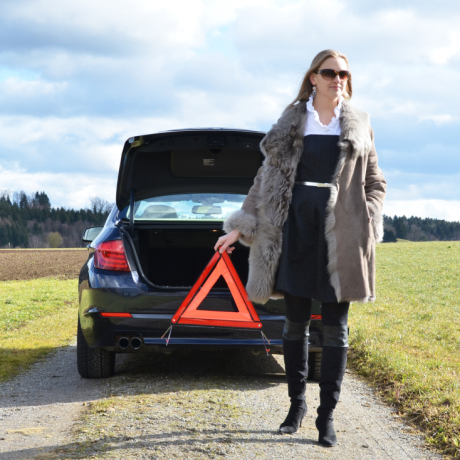 ������������, ������������ �� ��������� ������������ ������� ����������� �����, ������ � ������ ������