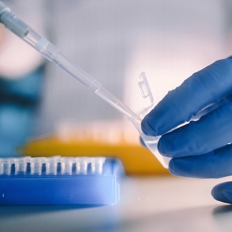 ������������ �� ������ ������� ���������� ������ ���� �� COVID-19