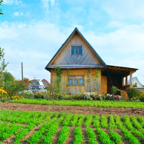 ������������� �� ���������� ���������� ����� ������ ���� �������� ������� � ��������� ��������� ��������