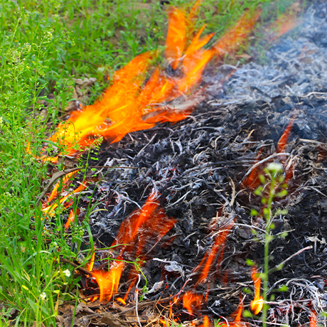 �� �������������������� ������ ��������� ��������� ����� ����� � ������