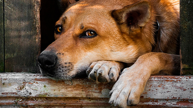 ���������� ������ �� ����� ����� ��� ������� ������ �� ���������� �����