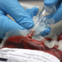 Введена административная ответственность за нарушение правил обращения с донорской кровью