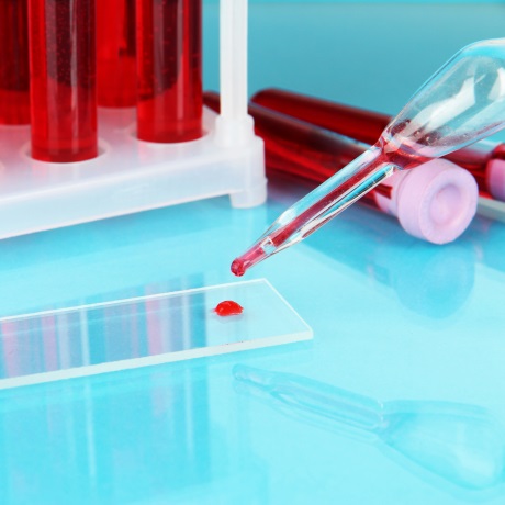 �������������� ������� ���������� ���������������������� �� ��������� ���������