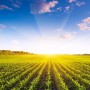 С 30 марта изменится порядок проведения общего собрания дольщиков земель сельхозназначения