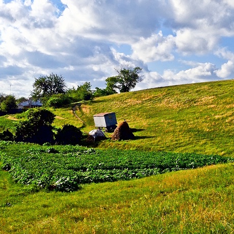 ������� � ����������������� ������������ �� ������������� �� ���������� ������