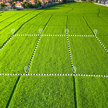 Предпринимателю не удалось снизить ставку земельного налога для своих участков