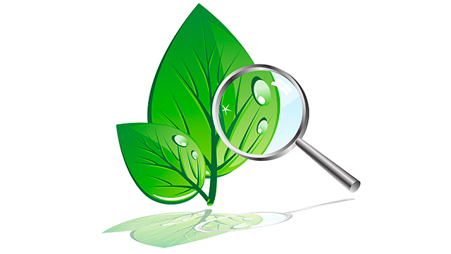 ������ ����� ���������� ��������� �� ������������� ���������� ��������    