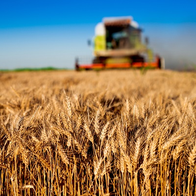 ���������� ����������� ������-����������� ��������� �������� ��������� ��������� �� 2017�2025 ����