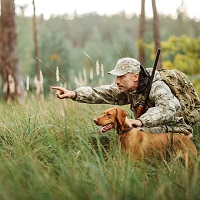 Эксперты: закон об охоте нуждается в доработке