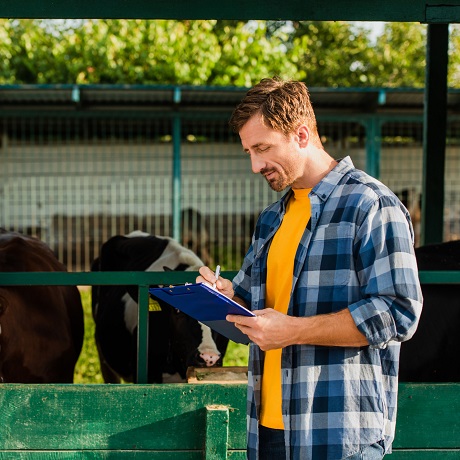За нарушение карантина животных и сокрытие сведений о массовом падеже животных могут ужесточить административную ответственность