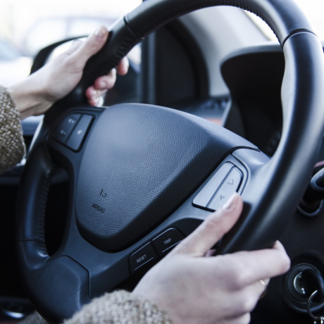 ���� �������� 