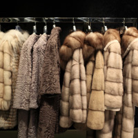 �� ����� ��� ������ �������� ����� ������ � ������� ���������� ������� �������