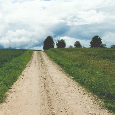 Автовладельцам и пассажирам запретили на ходу выбрасывать горящие окурки и спички
