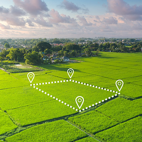 ��� ����������� ������������� ������� ��� ������� ���������� ������