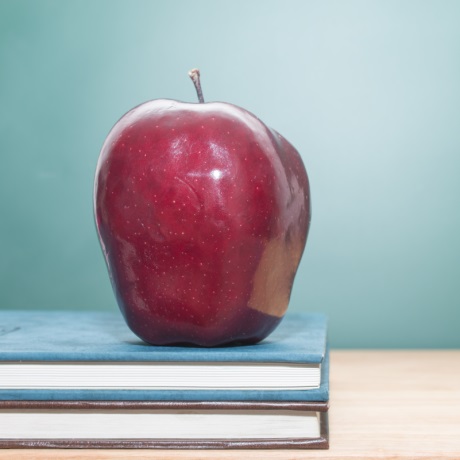 Депутаты приняли закон о сдаче ОГЭ только по двум предметам в трех регионах